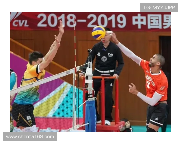 北京排球队心理素质引发热议球迷与专家观点交锋分析